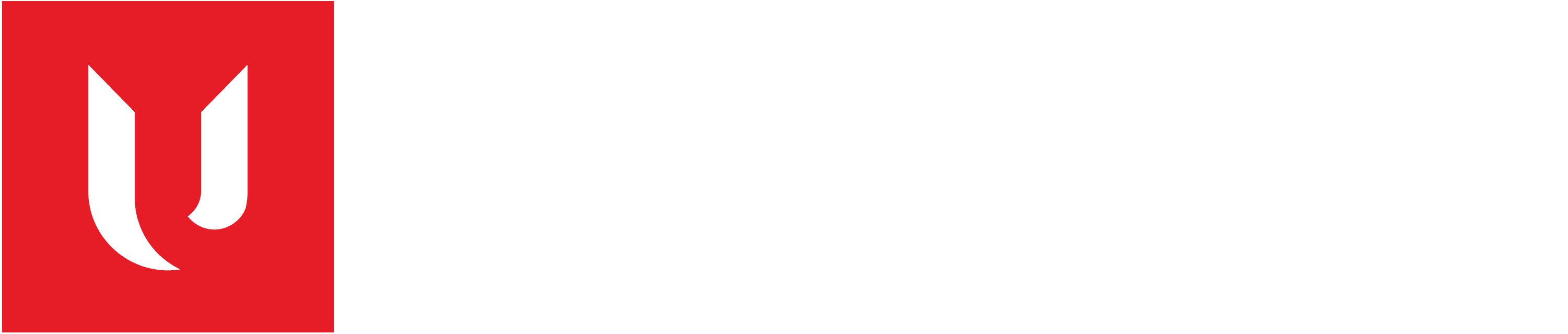 Ultrasoft Systems
